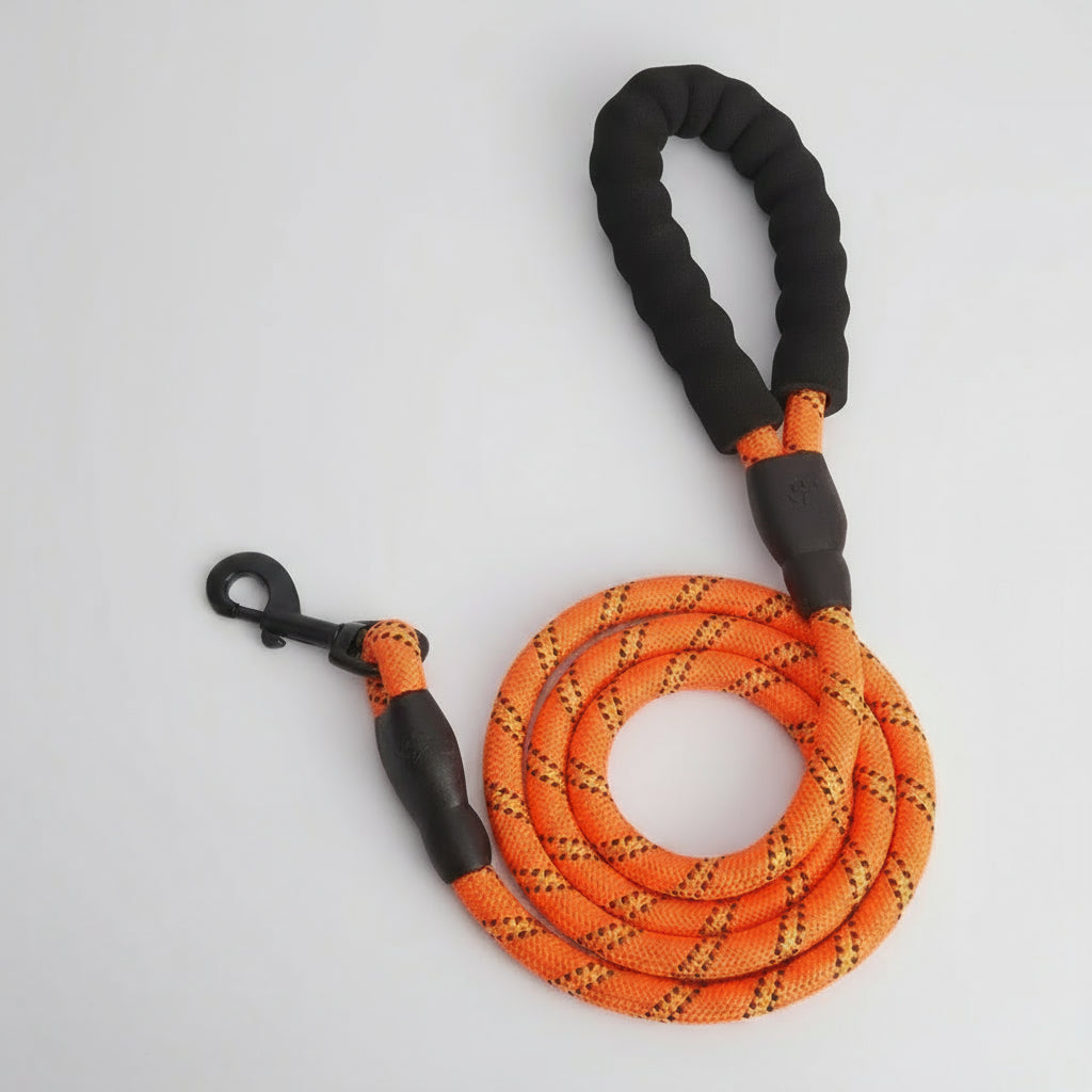 Medium Pet Dog Luminous Leash Chain Puppies